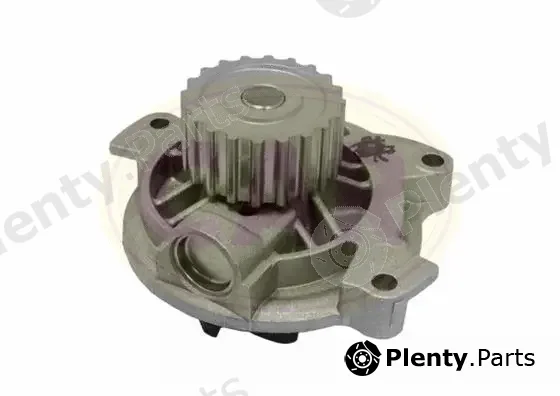 CAR 332065 — Water Pump, engine cooling