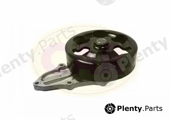 CAR 332572 — Water Pump, engine cooling