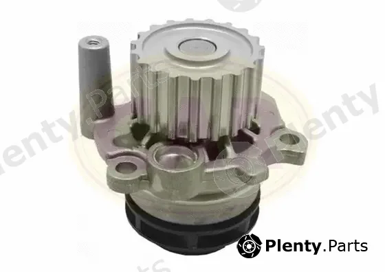 CAR 330079 — Water Pump, engine cooling
