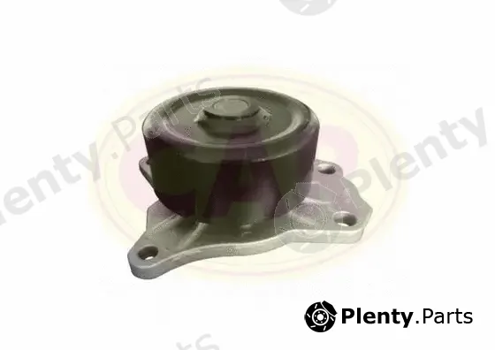 CAR 332786 — Water Pump, engine cooling