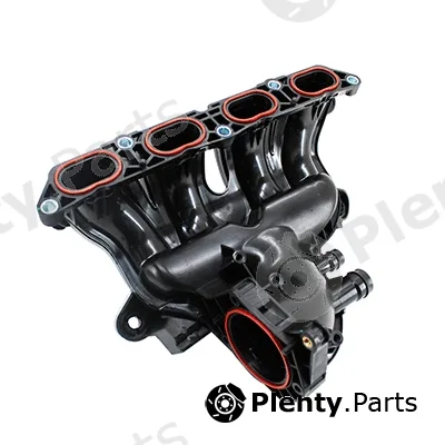 Meat & Doria 89548 — Intake Manifold Module