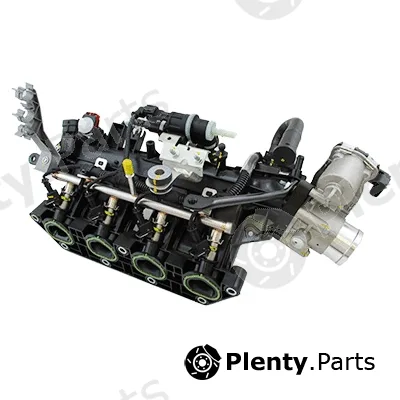 Meat & Doria 89519 — Intake Manifold Module