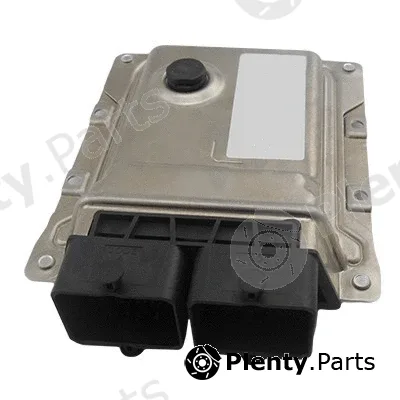 Meat & Doria 70110 — Control Unit, engine management