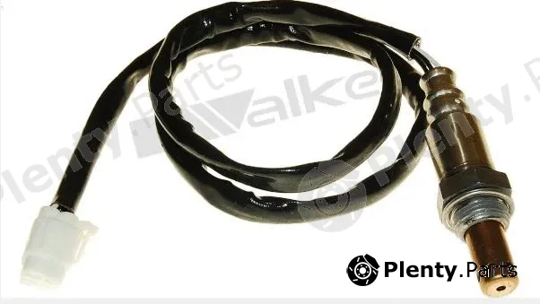 Vegaz DLS-547 — Lambda Sensor