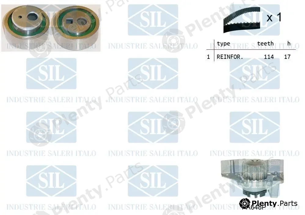 Saleri SIL K1PA648P — Water Pump & Timing Belt Kit