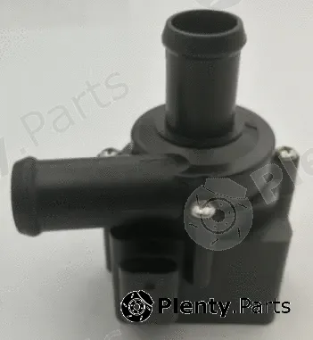 Saleri SIL PE1689 — Auxiliary Water Pump (cooling water circuit)