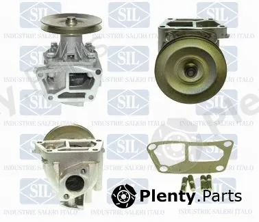 Saleri SIL PA306P — Water Pump, engine cooling