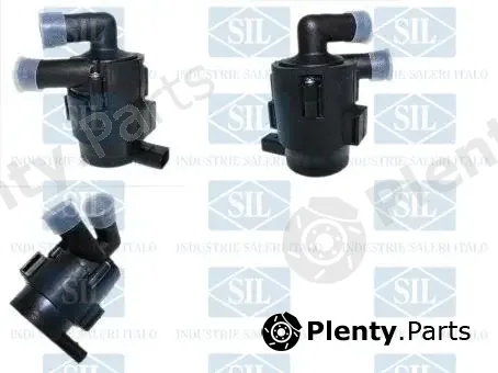 Saleri SIL PE1700 — Auxiliary Water Pump (cooling water circuit)