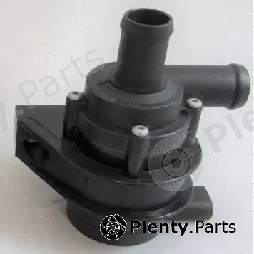 Saleri SIL PE1704 — Auxiliary Water Pump (cooling water circuit)