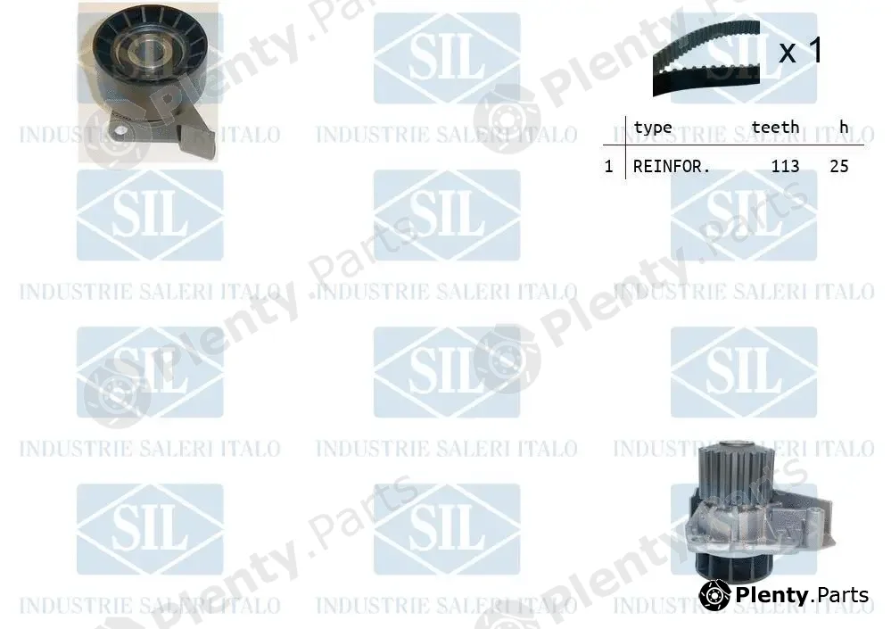 Saleri SIL K1PA1738 — Water Pump & Timing Belt Kit