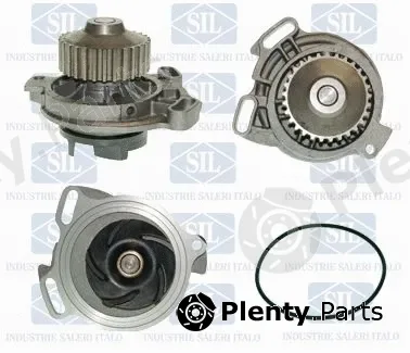 Saleri SIL PA619P — Water Pump, engine cooling