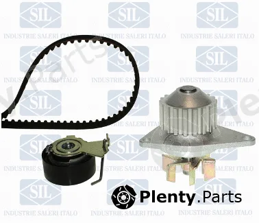 Saleri SIL K1PA1234 — Water Pump & Timing Belt Kit