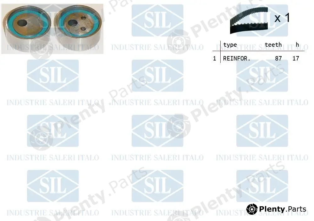 Saleri SIL TK1010 — Timing Belt Kit