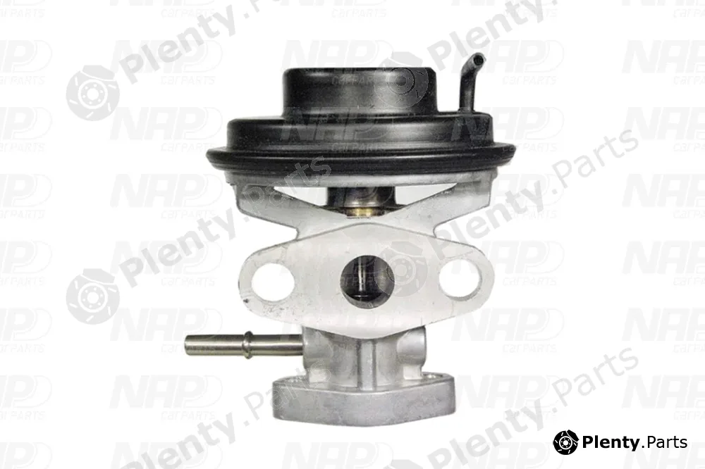 NAP CAV10092 — EGR Valve