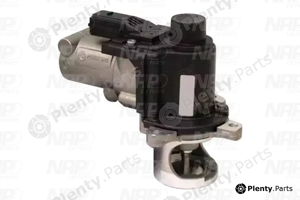 NAP CAV10073 — EGR Valve