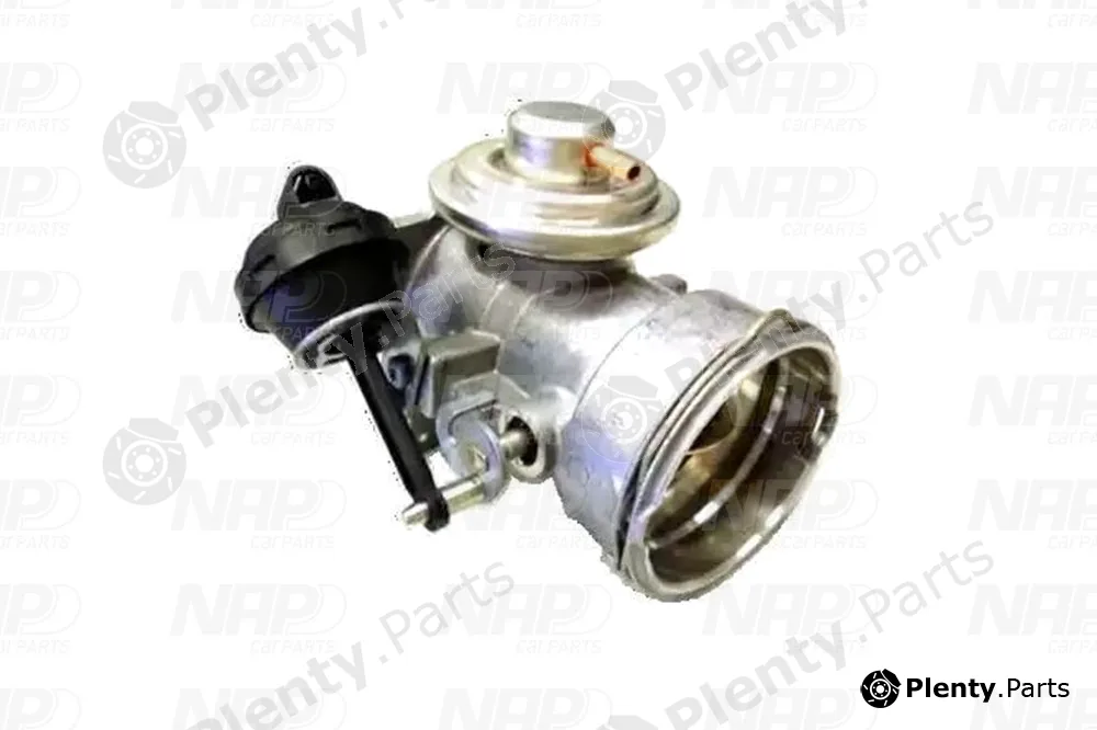 NAP CAV10062 — EGR Valve