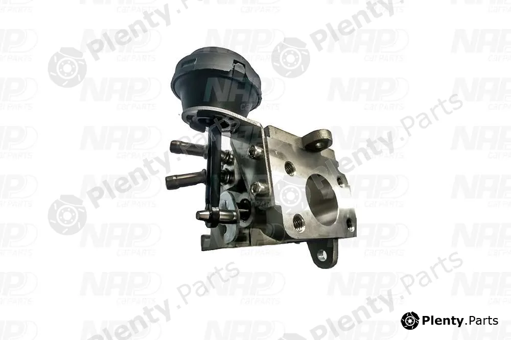 NAP CAV10177 — EGR Valve