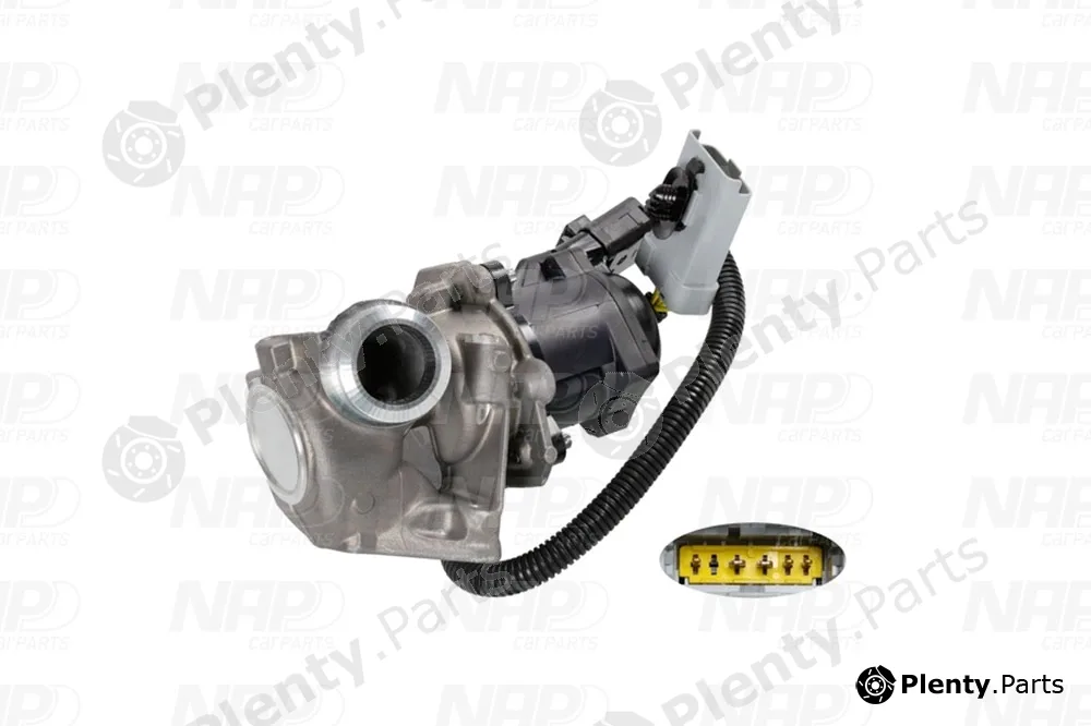 NAP CAV10078 — EGR Valve