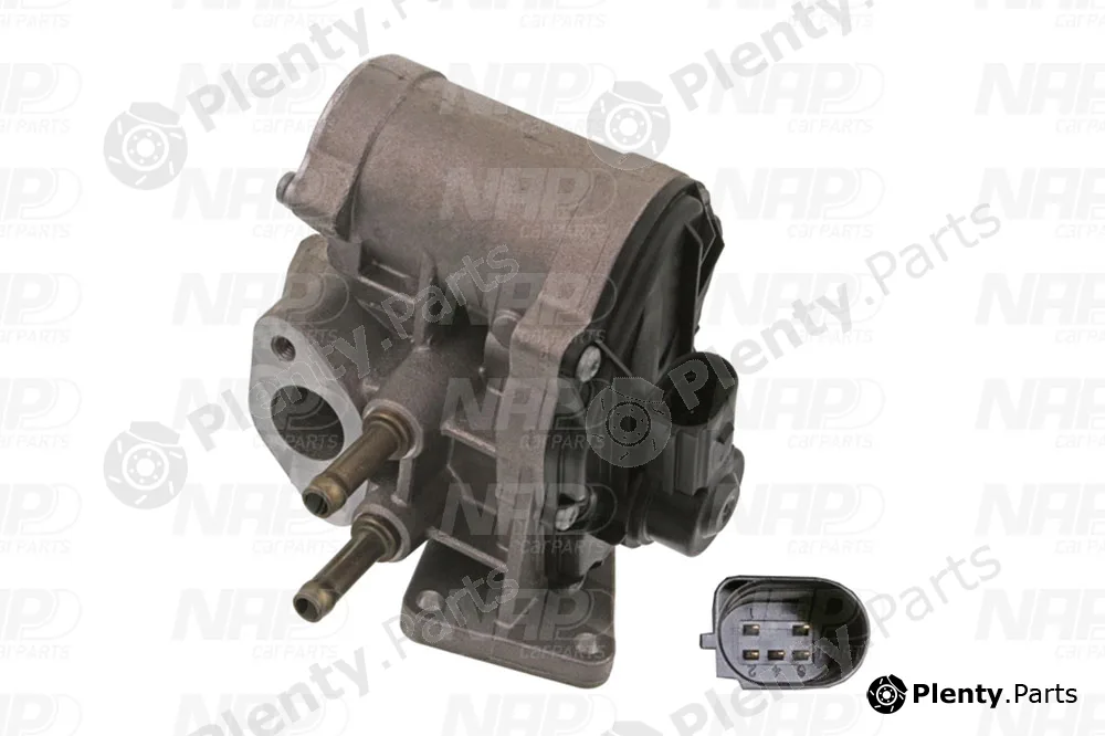 NAP CAV10096 — EGR Valve