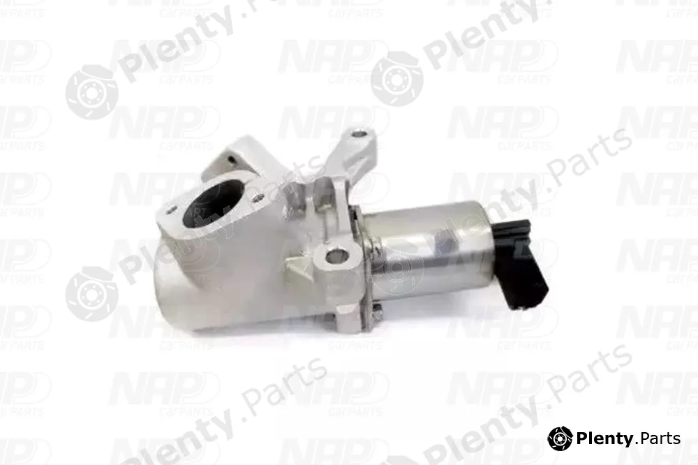 NAP CAV10142 — EGR Valve