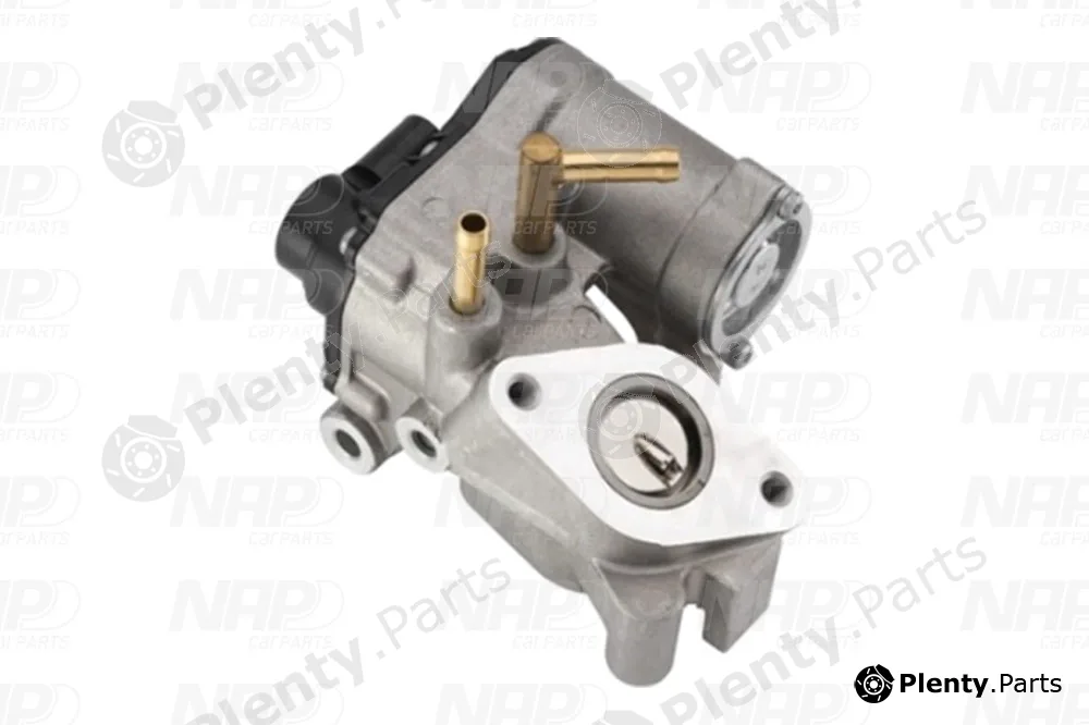 NAP CAV10145 — EGR Valve