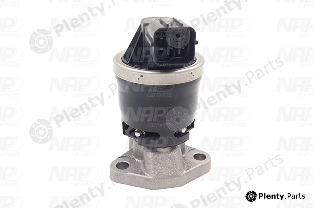 NAP CAV10105 — EGR Valve