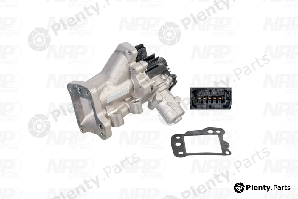 NAP CAV10125 — EGR Valve