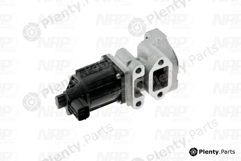 NAP CAV10158 — EGR Valve