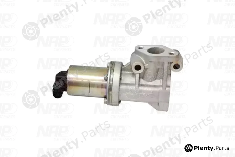 NAP CAV10072 — EGR Valve