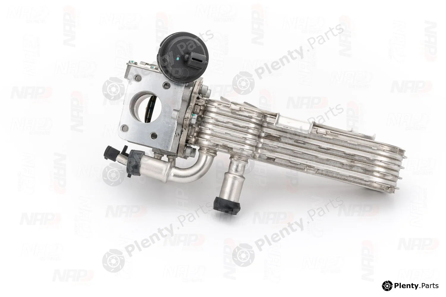 NAP CAV10178 — EGR Valve