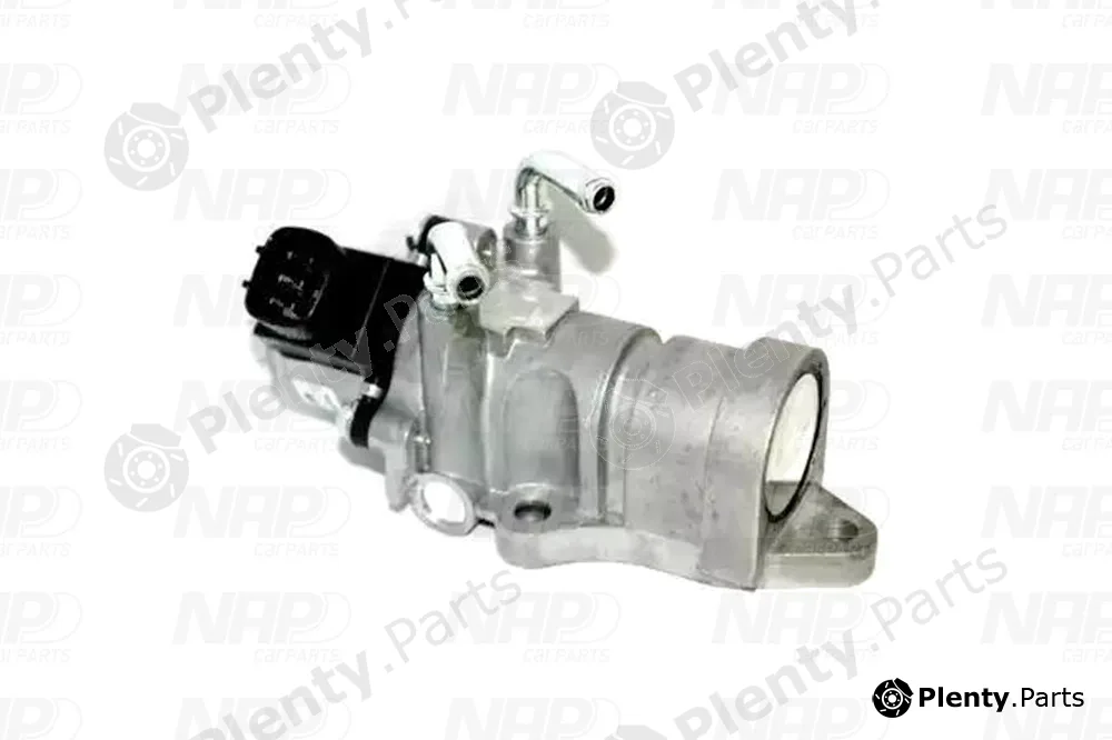 NAP CAV10166 — EGR Valve