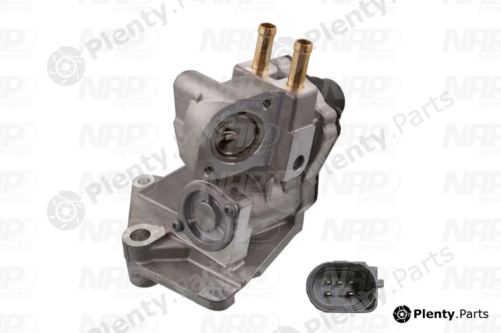 NAP CAV10095 — EGR Valve