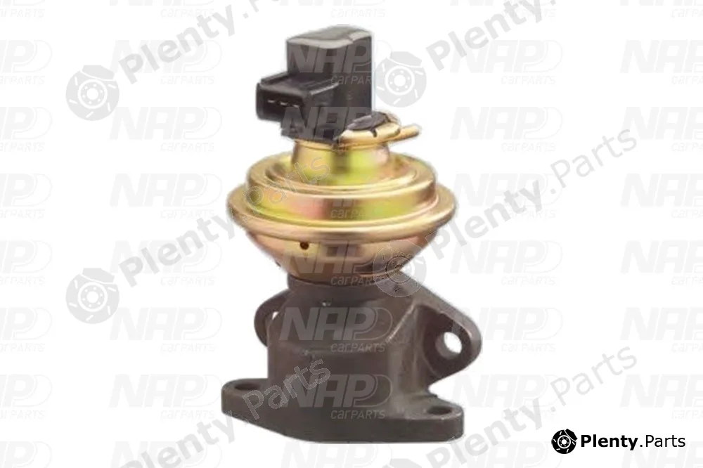NAP CAV10012 — EGR Valve