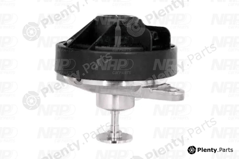 NAP CAV10021 — EGR Valve