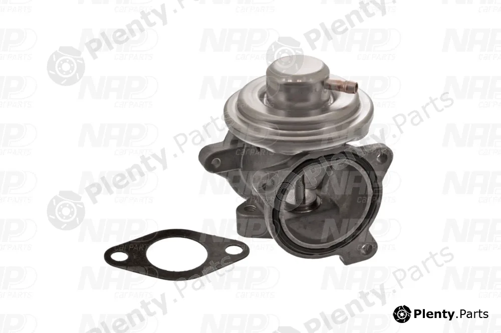 NAP CAV10038 — EGR Valve