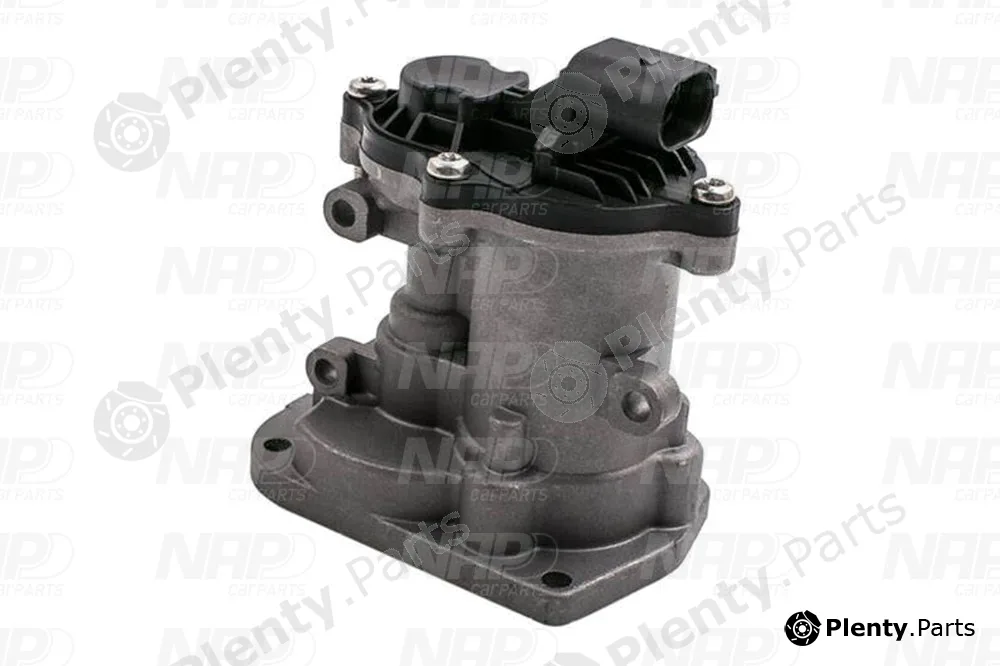 NAP CAV10097 — EGR Valve