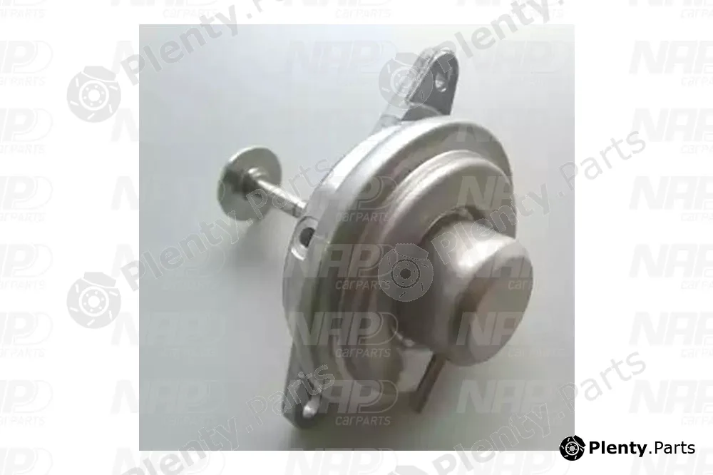 NAP CAV10022 — EGR Valve