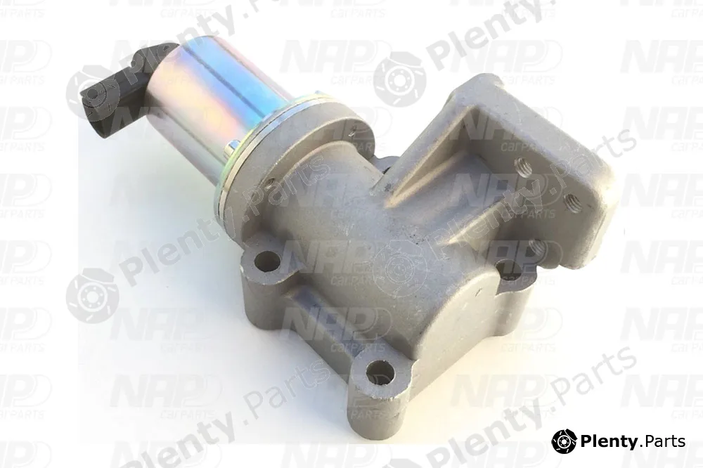 NAP CAV10113 — EGR Valve