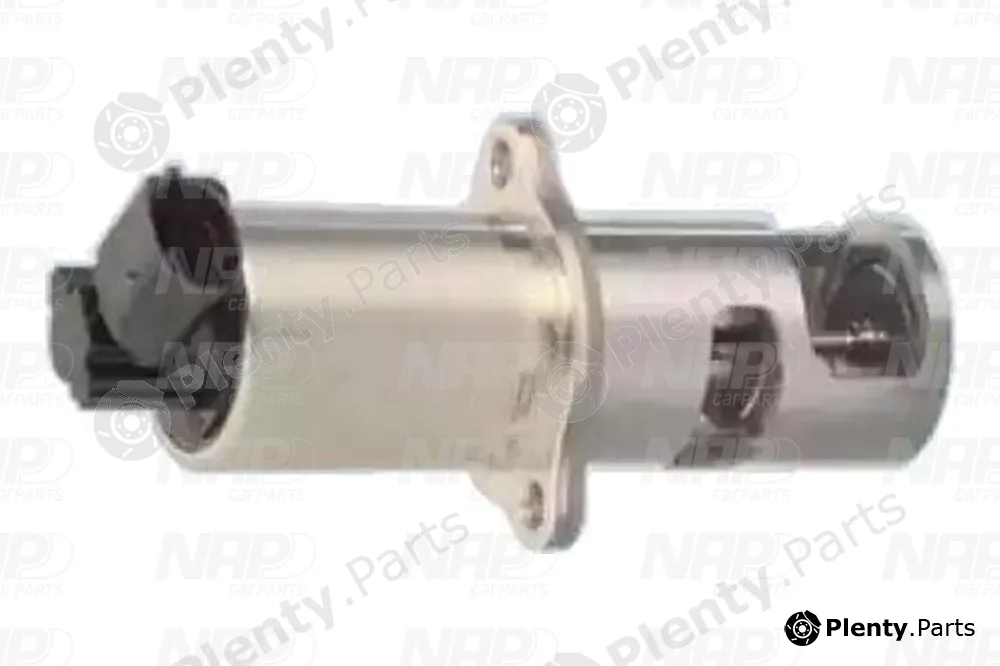 NAP CAV10019 — EGR Valve