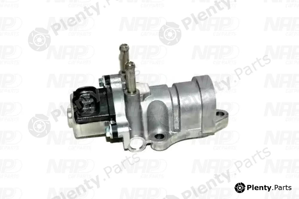 NAP CAV10162 — EGR Valve