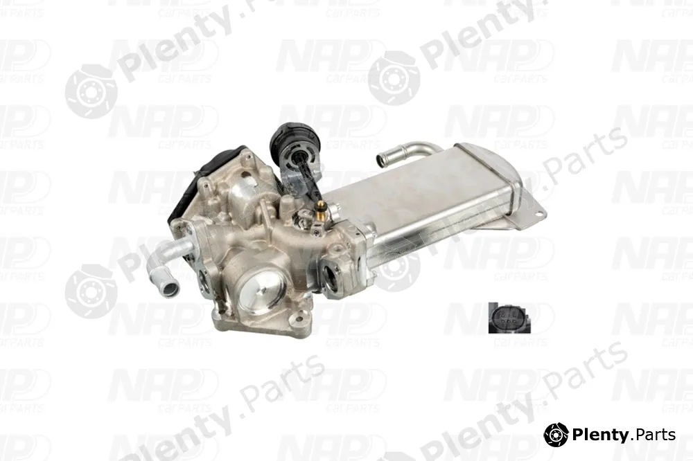NAP CAV10114 — EGR Valve