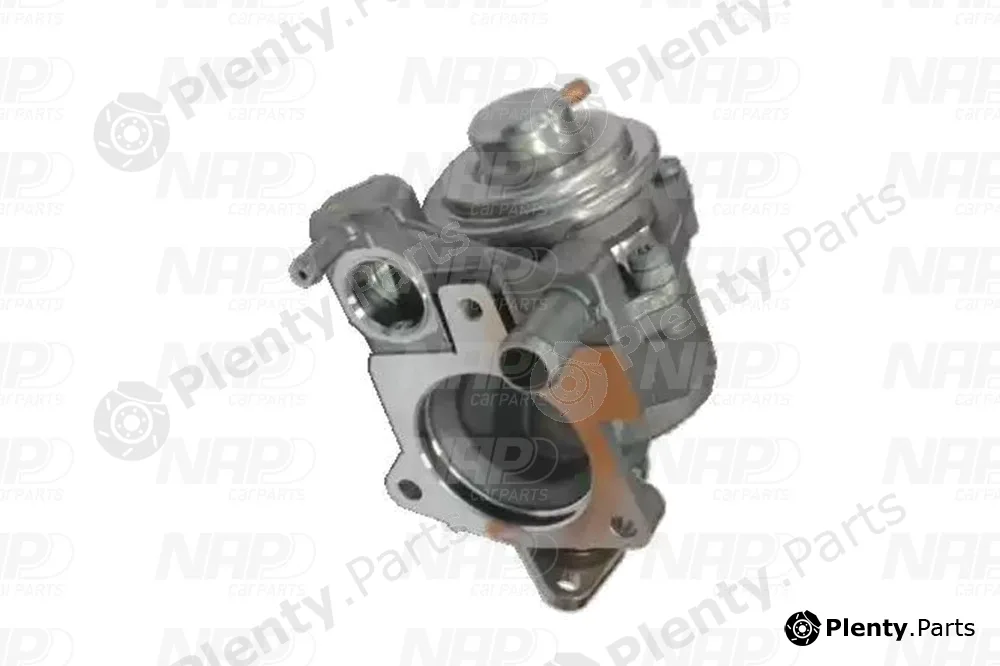 NAP CAV10139 — EGR Valve