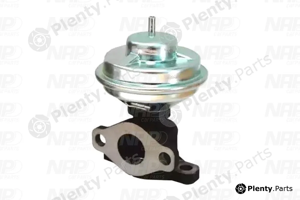NAP CAV10143 — EGR Valve