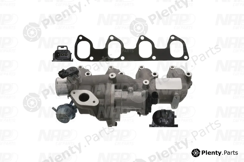 NAP CAV10165 — EGR Valve