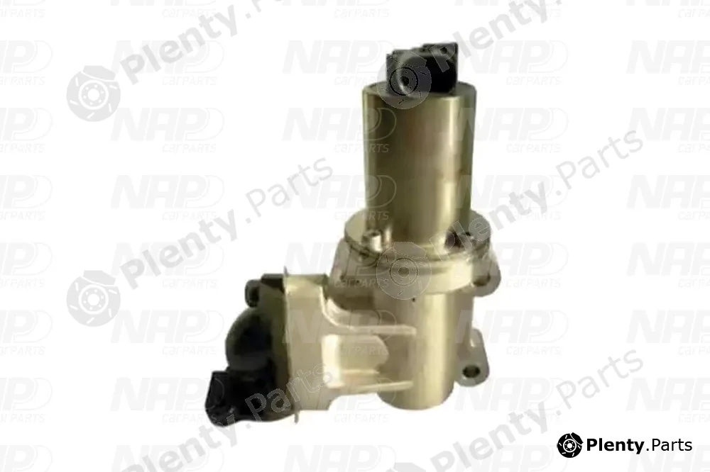 NAP CAV10157 — EGR Valve