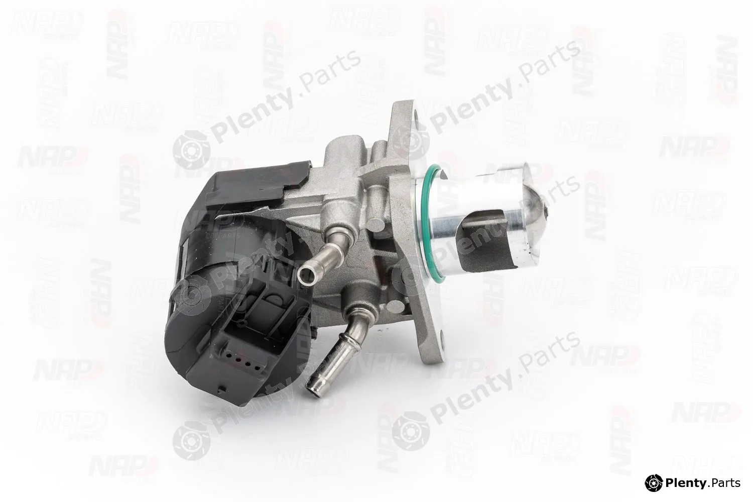 NAP CAV10123 — EGR Valve