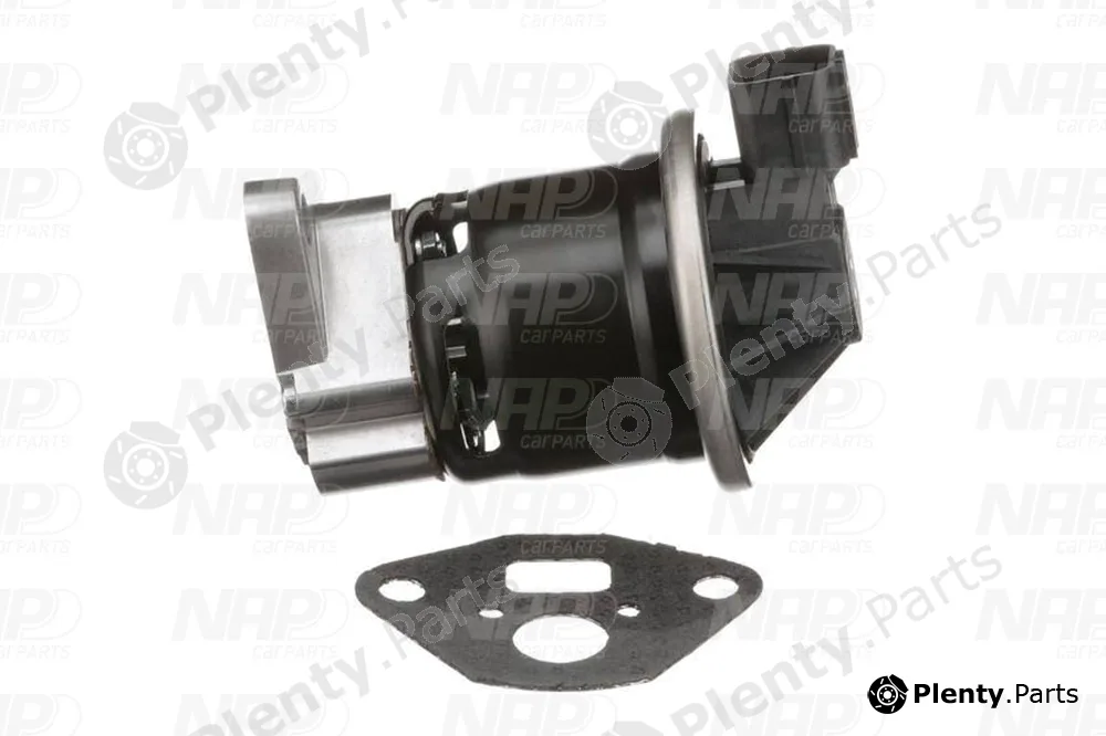 NAP CAV10101 — EGR Valve