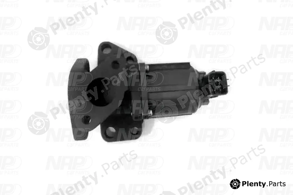 NAP CAV10163 — EGR Valve
