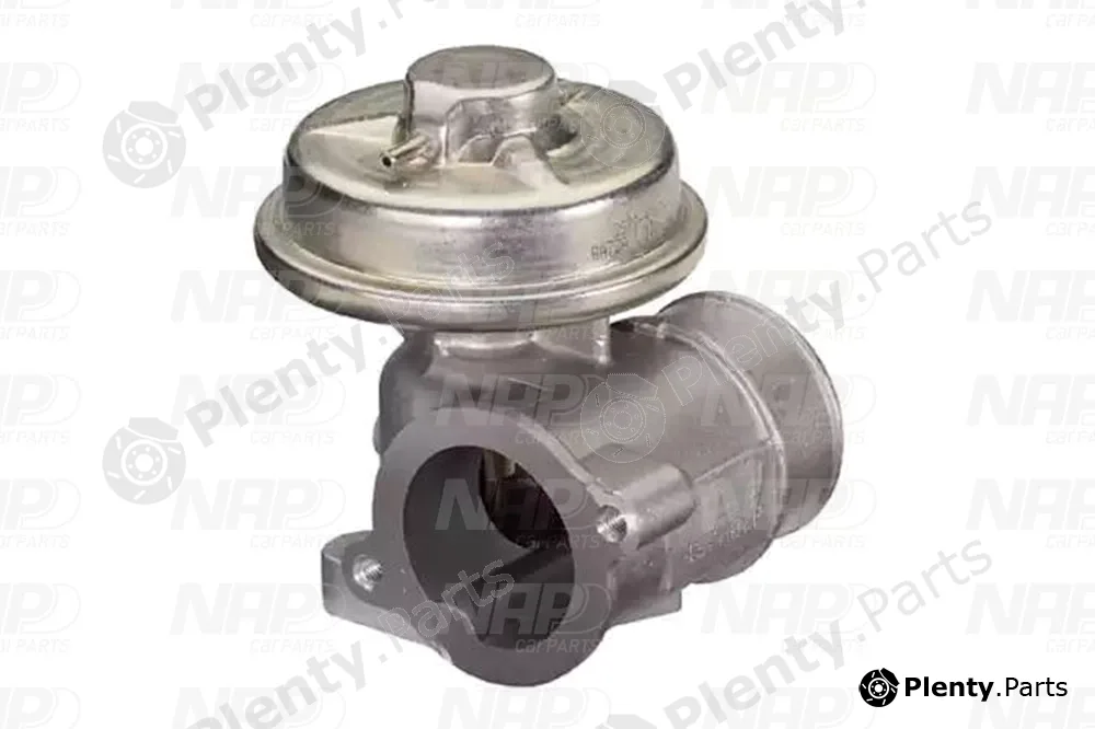 NAP CAV10043 — EGR Valve