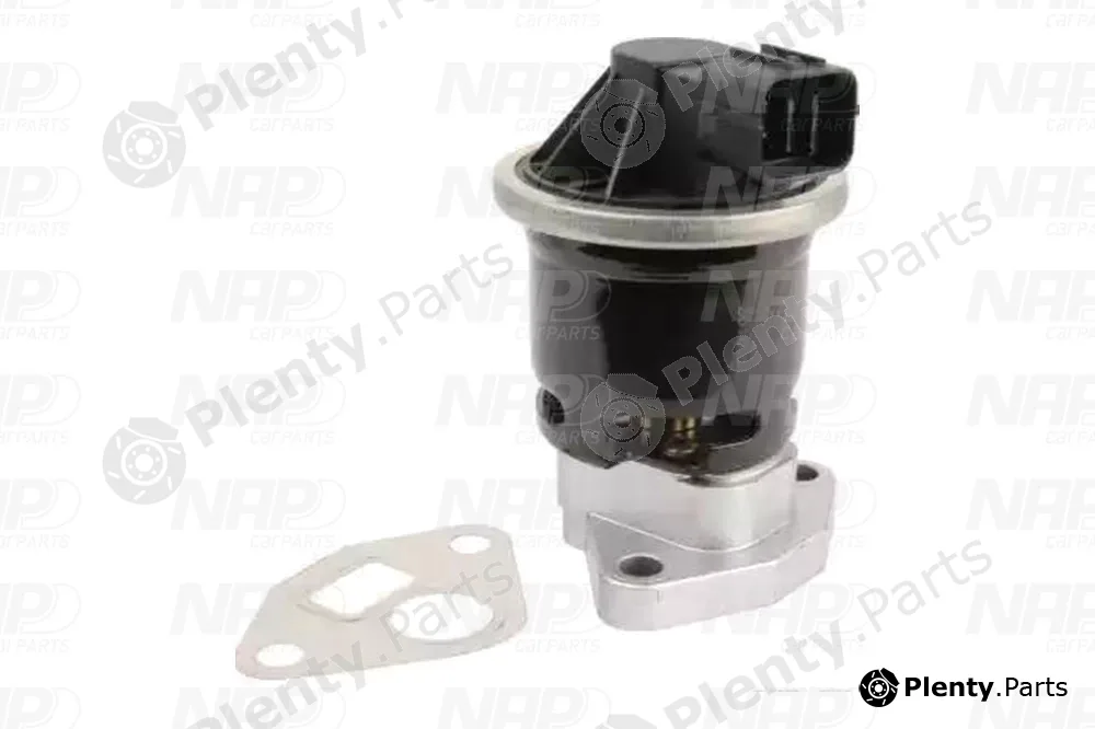 NAP CAV10102 — EGR Valve